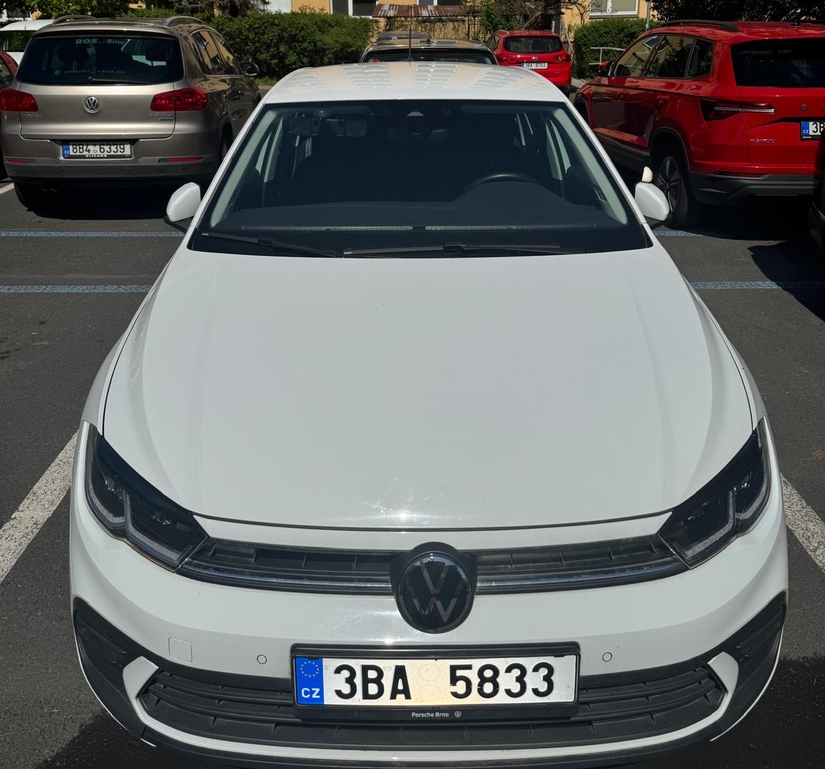polo